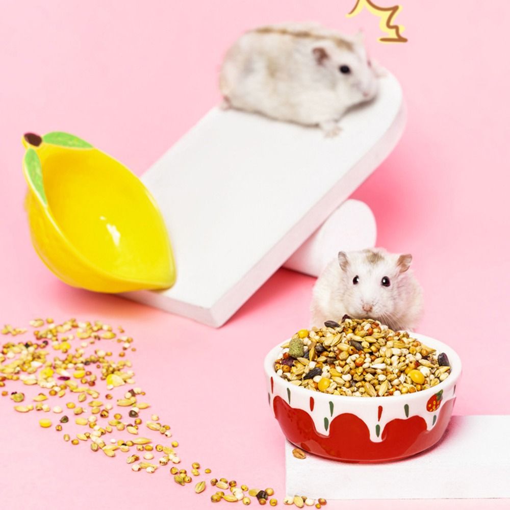 Pet Supplies Is Food - Hedgehog Ferret Gerbil Chinchilla Ceramic Feeding
