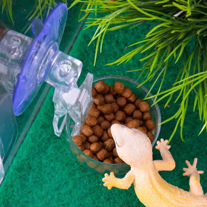 Pet Supplies Is Food - Reptile Water Food Bowl Suction Cup