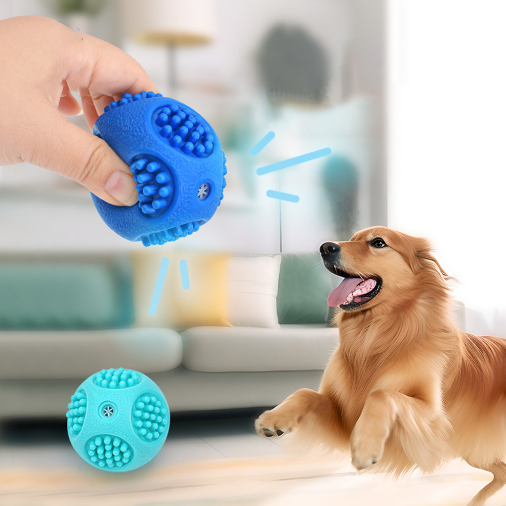 Elastic Spiky Squeaky Dog Chew - Dog Muzzle Silicone recension och pris