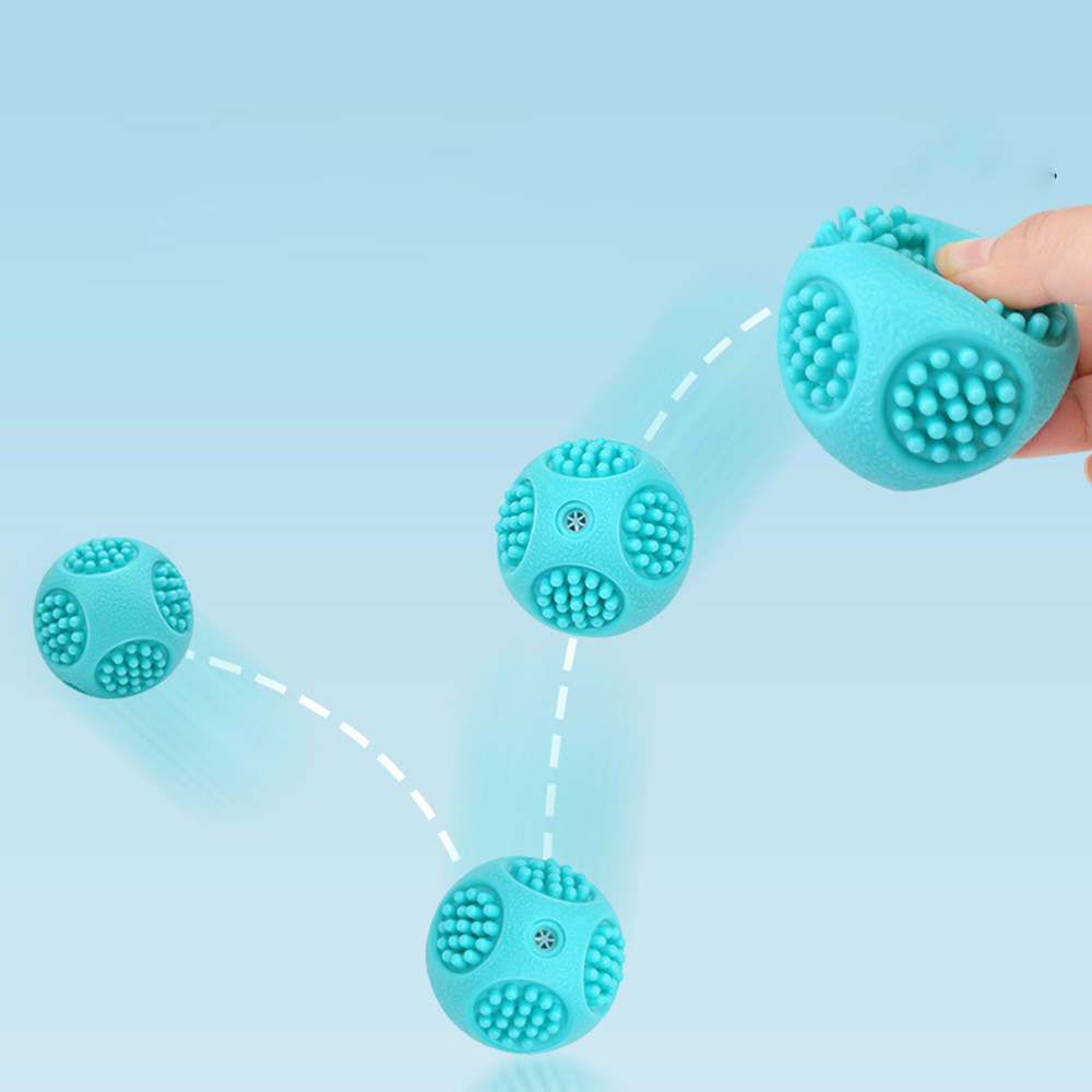 Elastic Spiky Squeaky Dog Chew - Dog Muzzle Silicone recension och pris