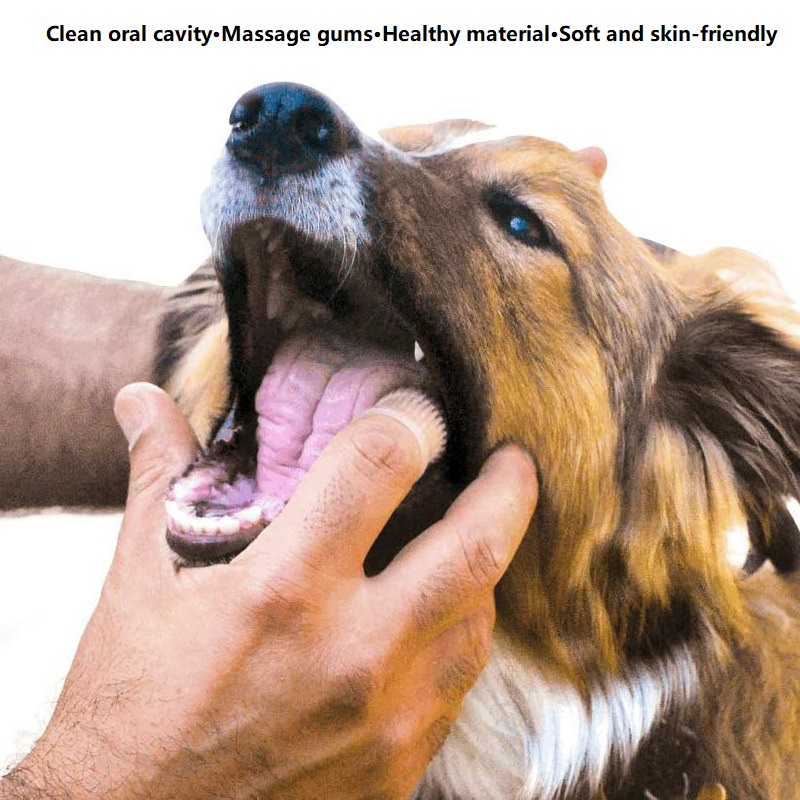 3PCS Dental Cleaning Dog Teeth - Dog Muzzle Silicone recension och pris