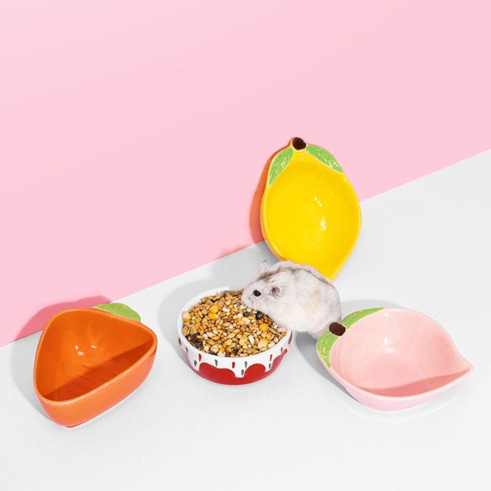 Hedgehog Ferret Gerbil Chinchi - Pet Supplies Is Food recension och pris