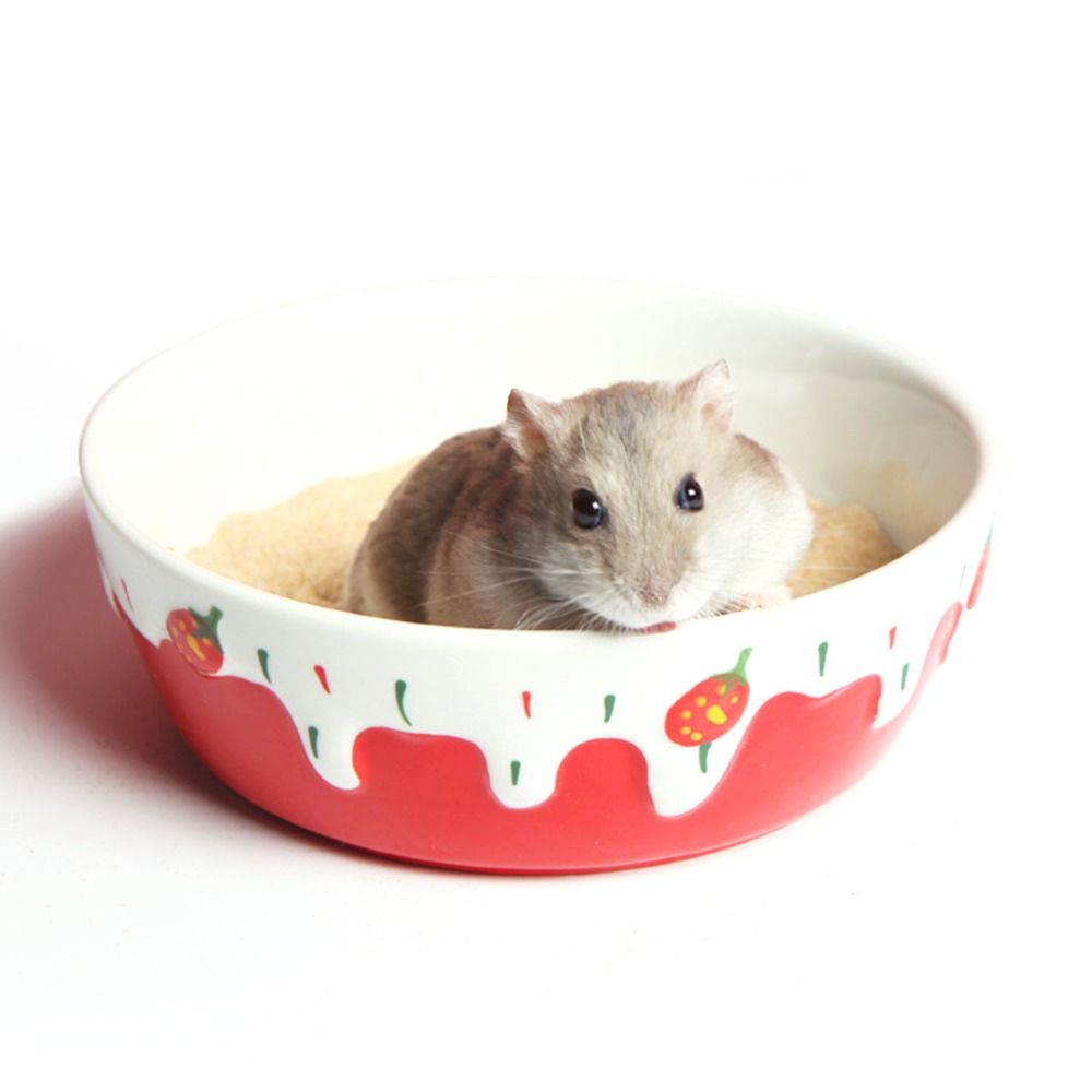 Hedgehog Ferret Gerbil Chinchi - Pet Supplies Is Food recension och pris