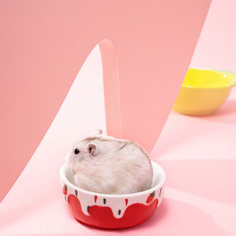Hedgehog Ferret Gerbil Chinchi - Pet Supplies Is Food recension och pris