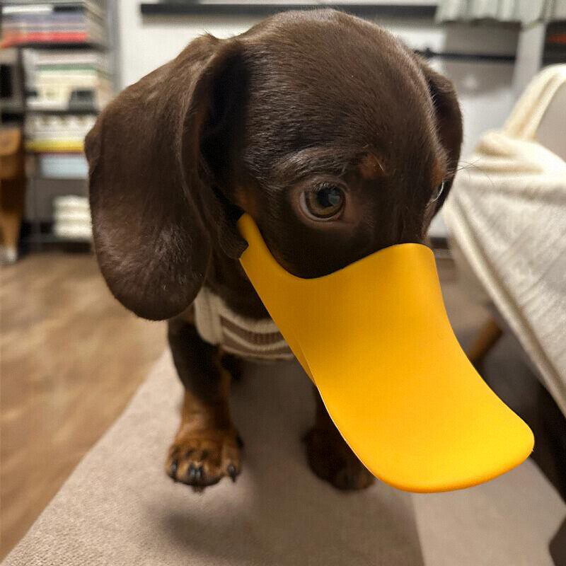 Dog Silicone Duck Muzzle For W - Dog Muzzle Silicone recension och pris