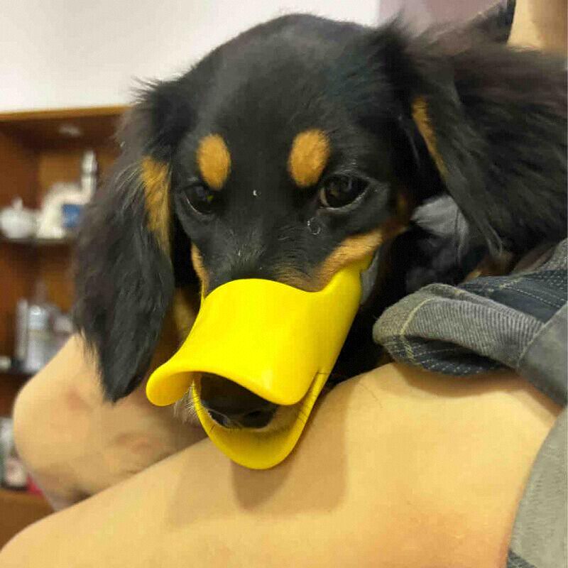 Dog Silicone Duck Muzzle For W - Dog Muzzle Silicone recension och pris