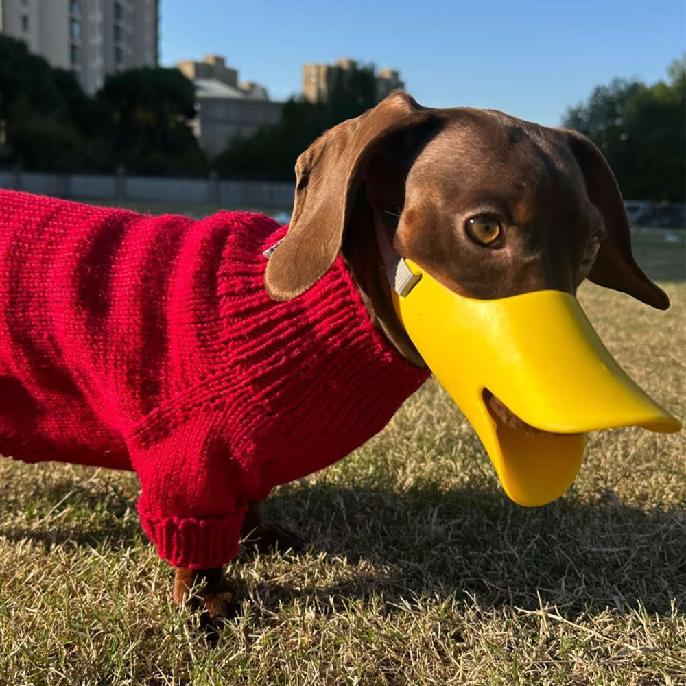 Dog Silicone Duck Muzzle For W - Dog Muzzle Silicone recension och pris