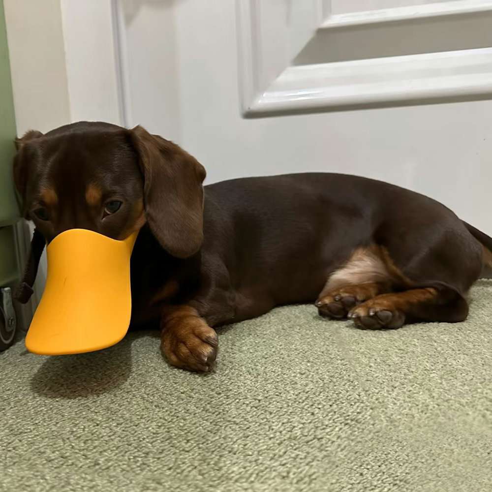 Dog Silicone Duck Muzzle For W - Dog Muzzle Silicone recension och pris