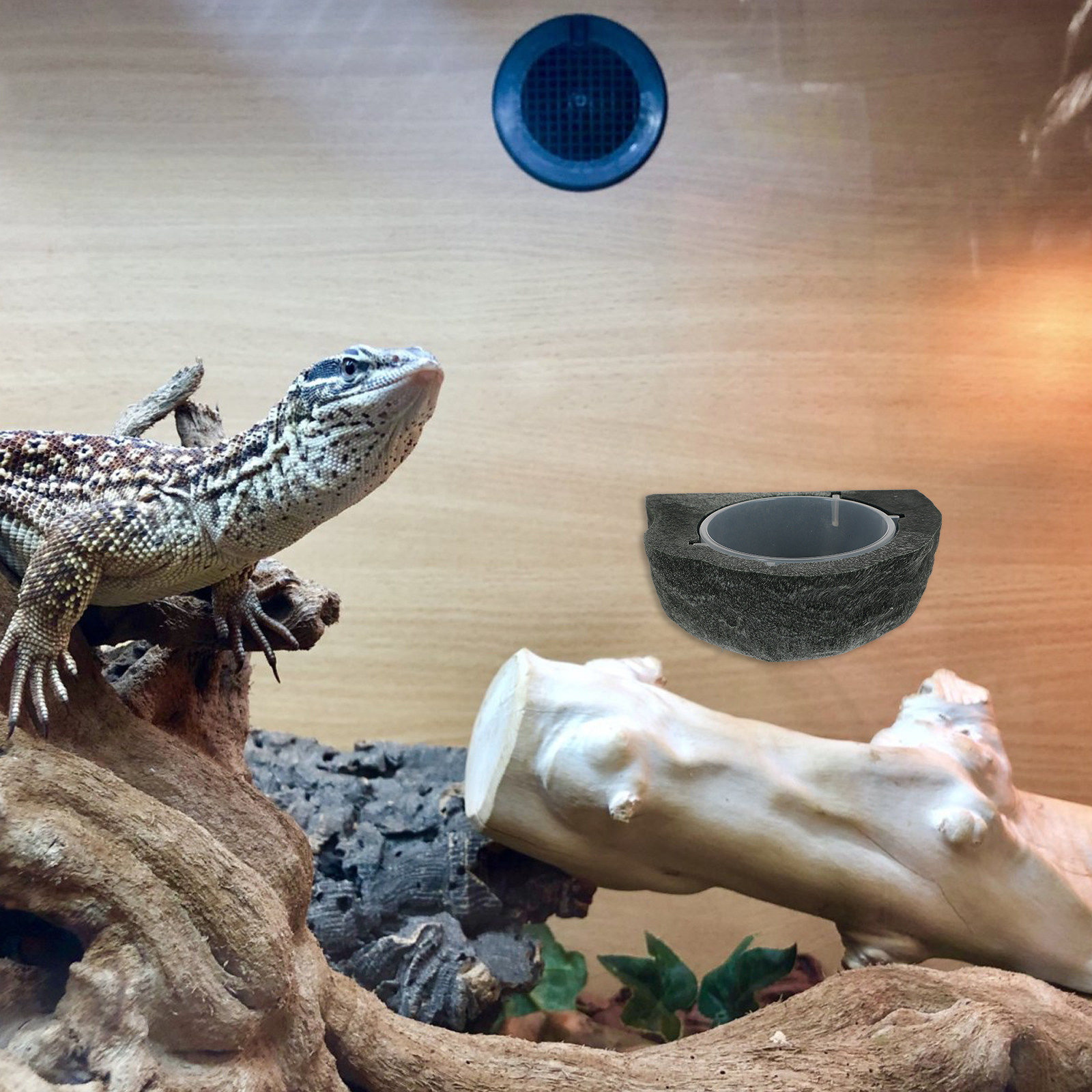 Magnetic Reptile Water Feeder  - Pet Supplies Is Food recension och pris