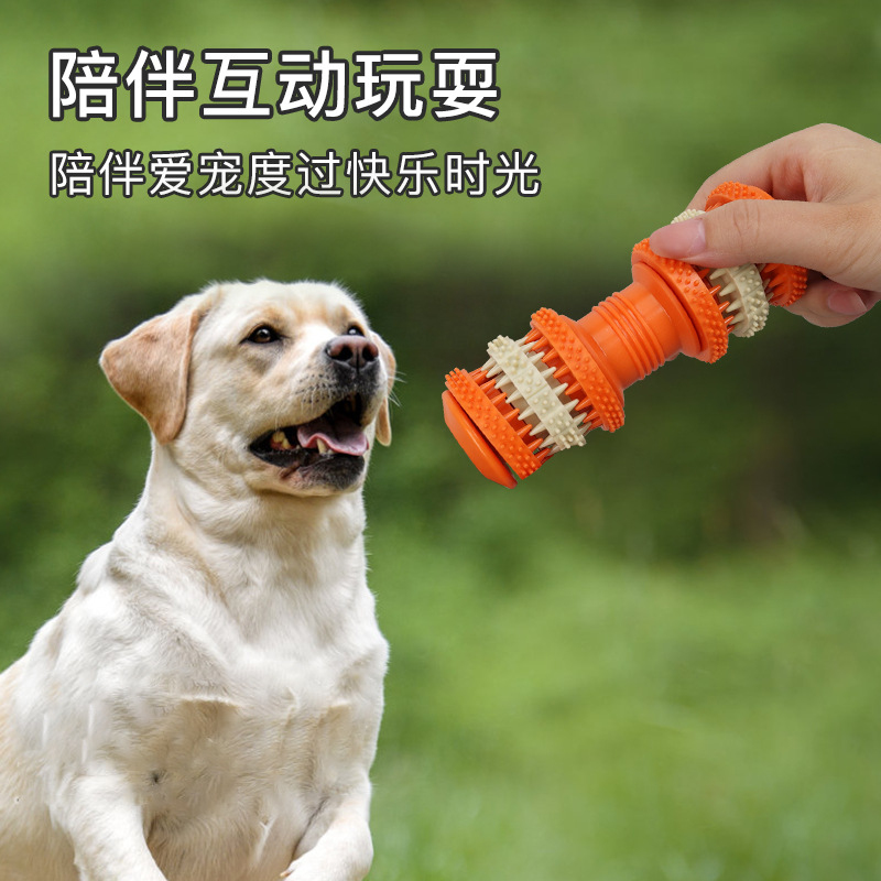 Pet chew toy for dogs, durable - Pet Supplies Is Food recension och pris