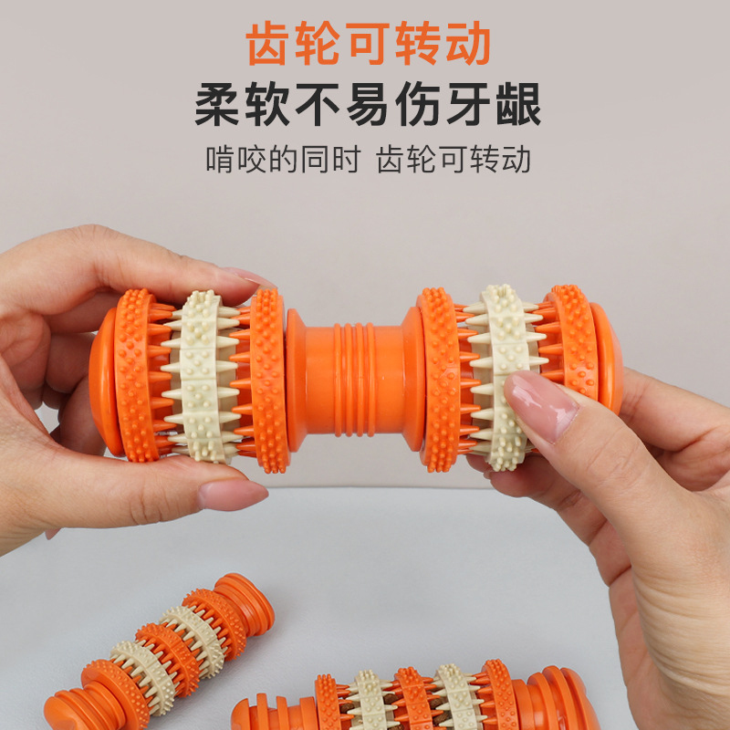 Pet chew toy for dogs, durable - Pet Supplies Is Food recension och pris