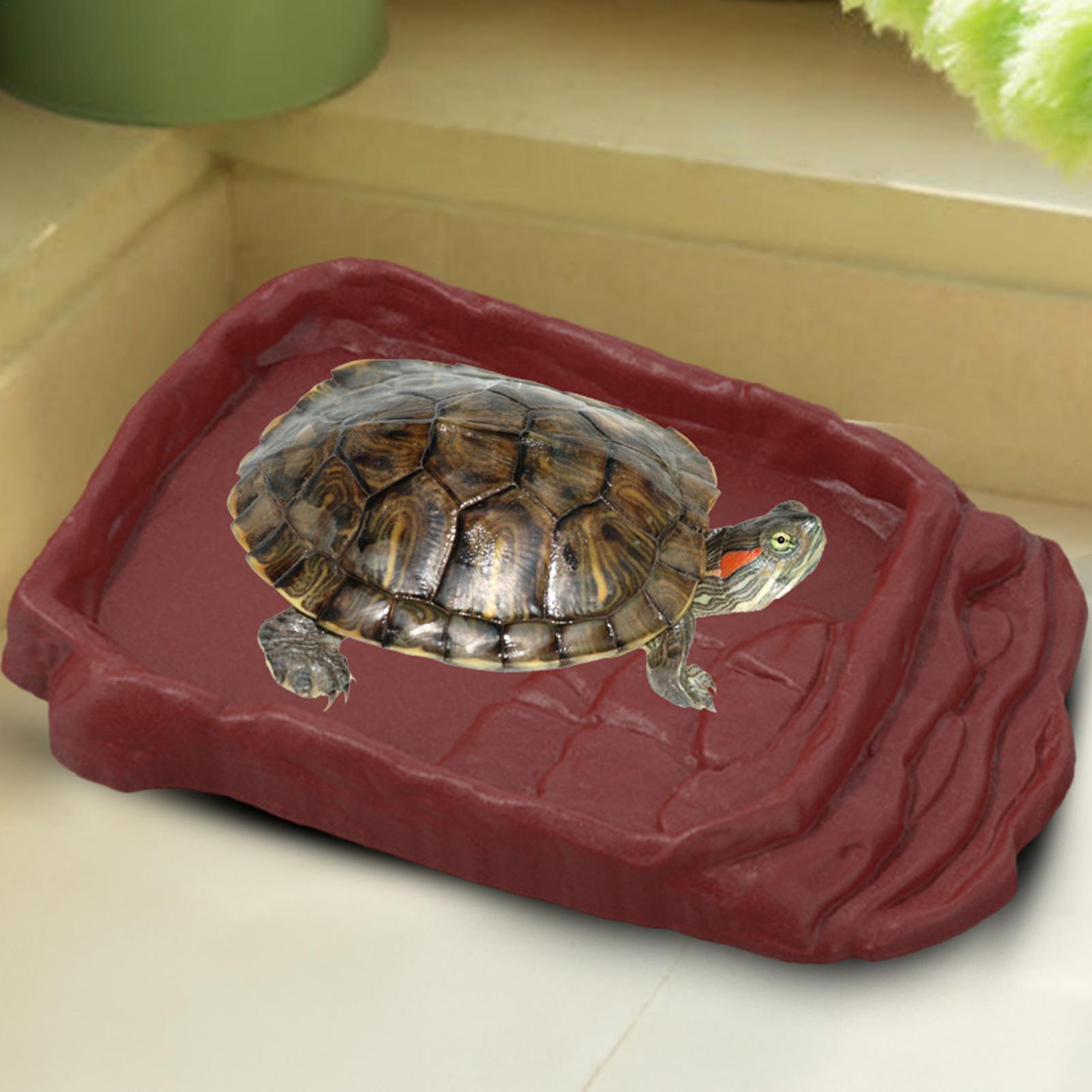Turtle Water Dish With Anti-Sl - Pet Supplies Is Food recension och pris