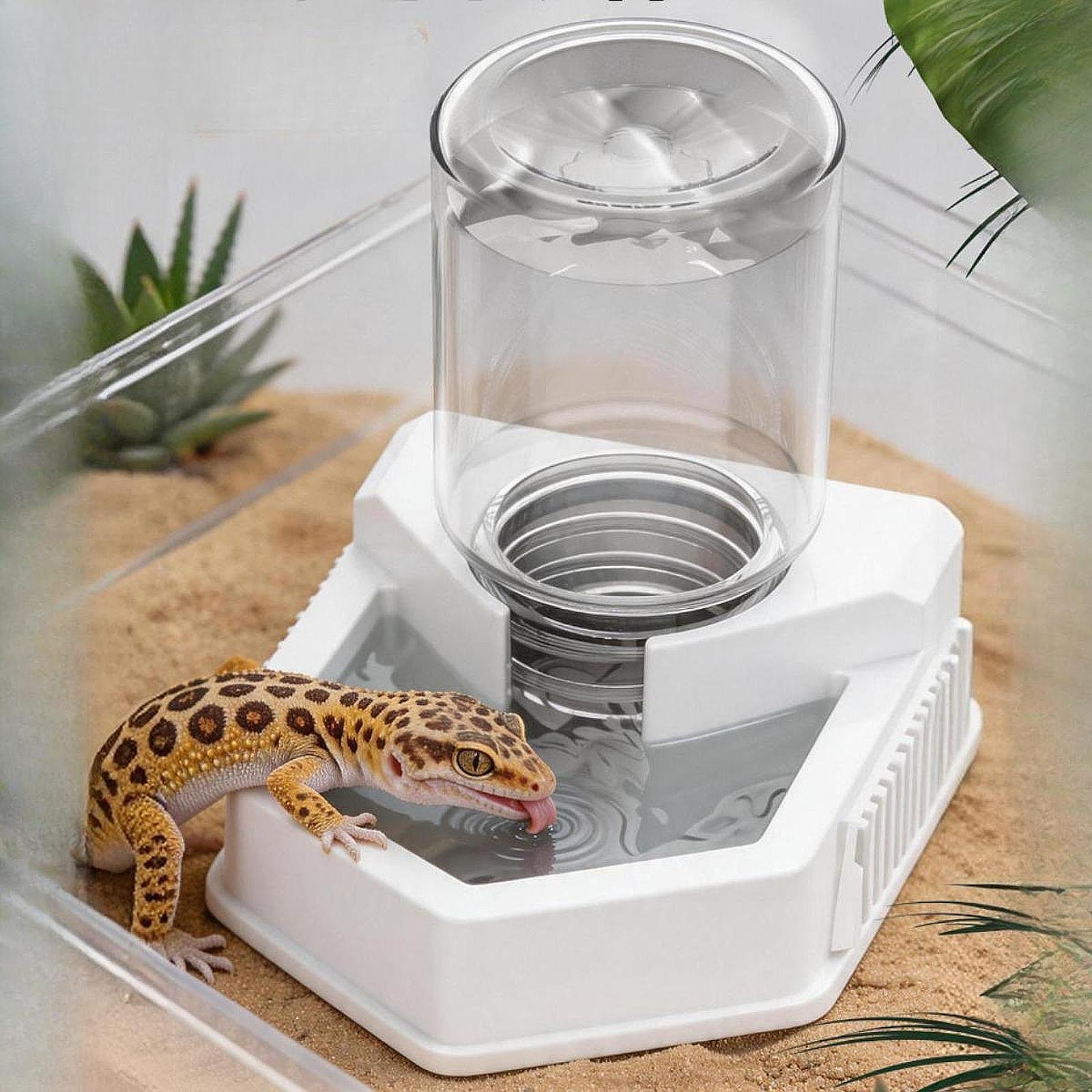 Reptile Food Feeder Bowl Water - Pet Supplies Is Food recension och pris