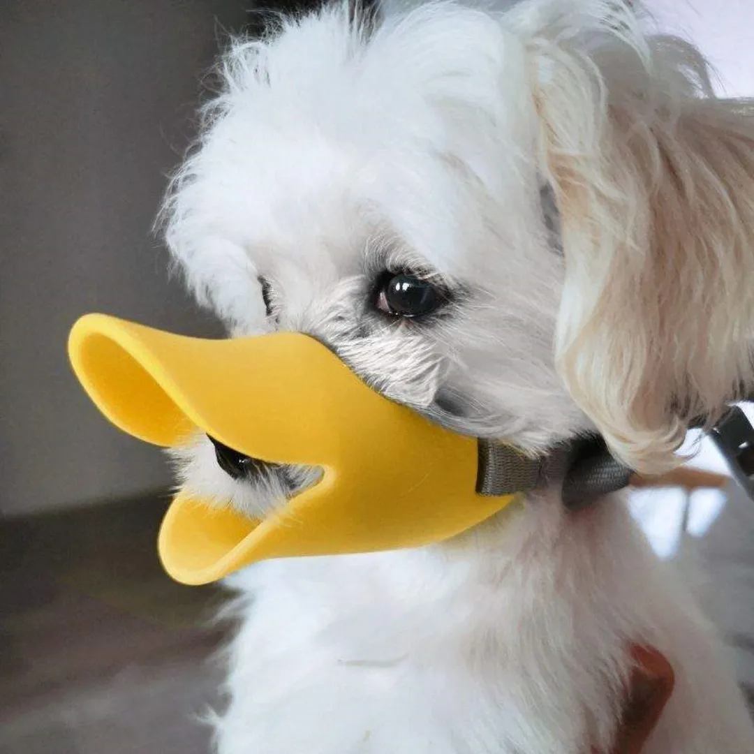 Dog Silicone Duck Muzzle For P - Dog Muzzle Silicone recension och pris