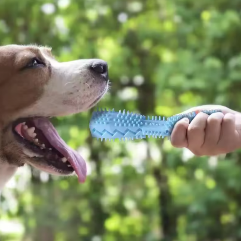 Dog Teething Toy Chew Stick Bi - Dog Muzzle Silicone recension och pris