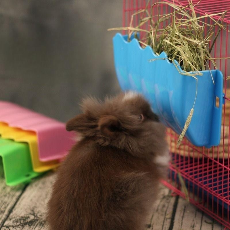 Rabbit Hay Feeder Hanging Guin - Pet Supplies Is Food recension och pris