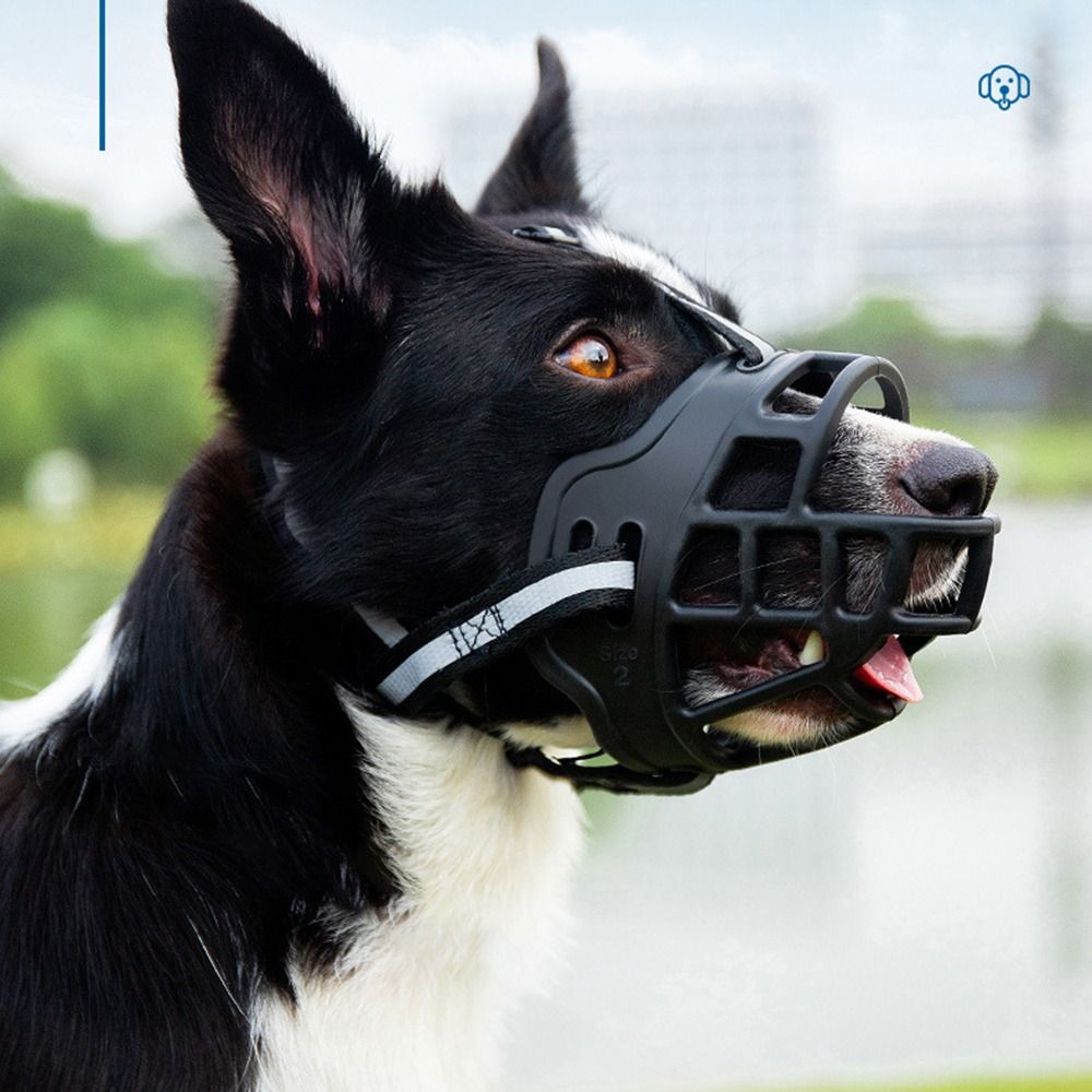Adjustable Dog Muzzle Anti-Bit - Dog Muzzle Silicone recension och pris