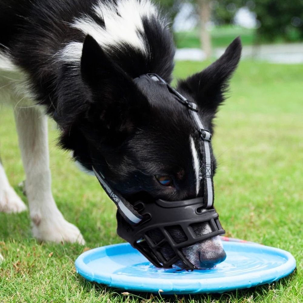 Adjustable Dog Muzzle Anti-Bit - Dog Muzzle Silicone recension och pris