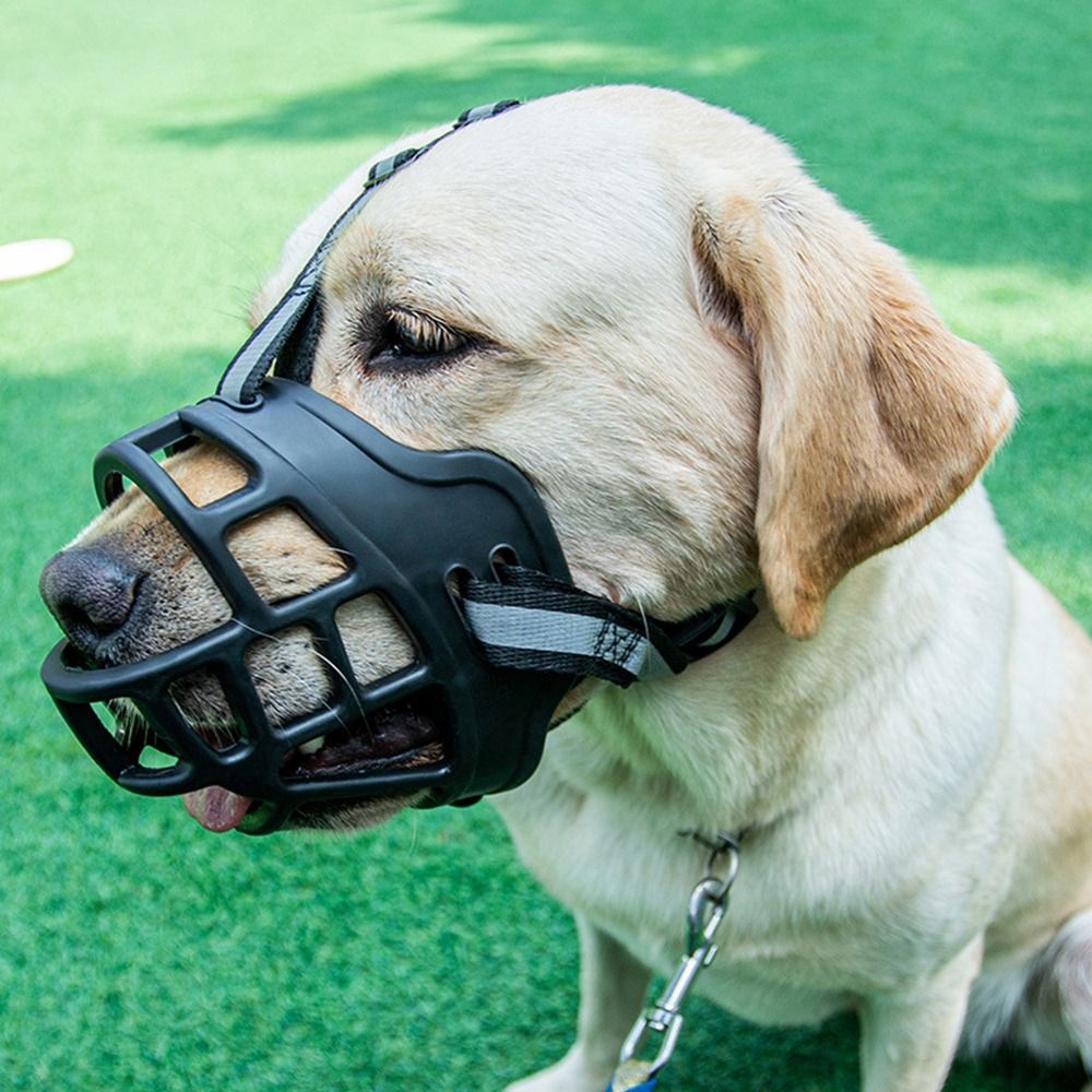 Durable Anti-Biting Adjustable - Dog Muzzle Silicone recension och pris