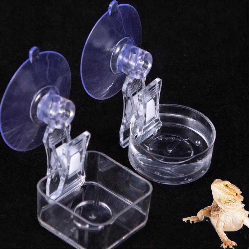 Reptile Water Food Bowl Suctio - Pet Supplies Is Food recension och pris