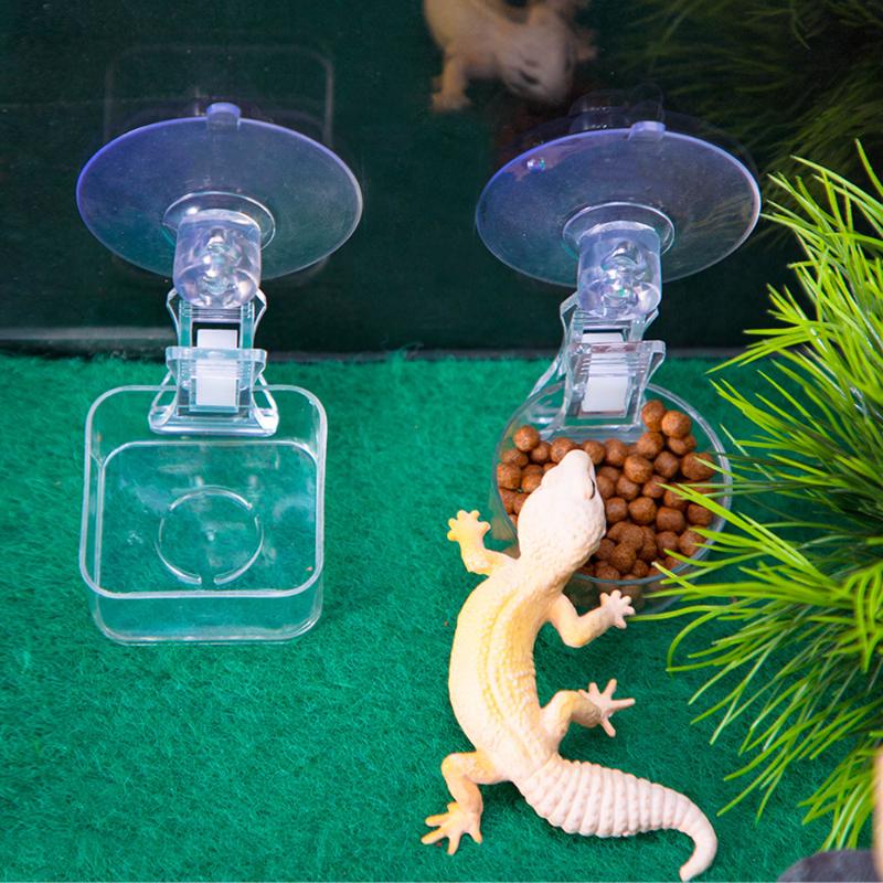 Reptile Water Food Bowl Suctio - Pet Supplies Is Food recension och pris
